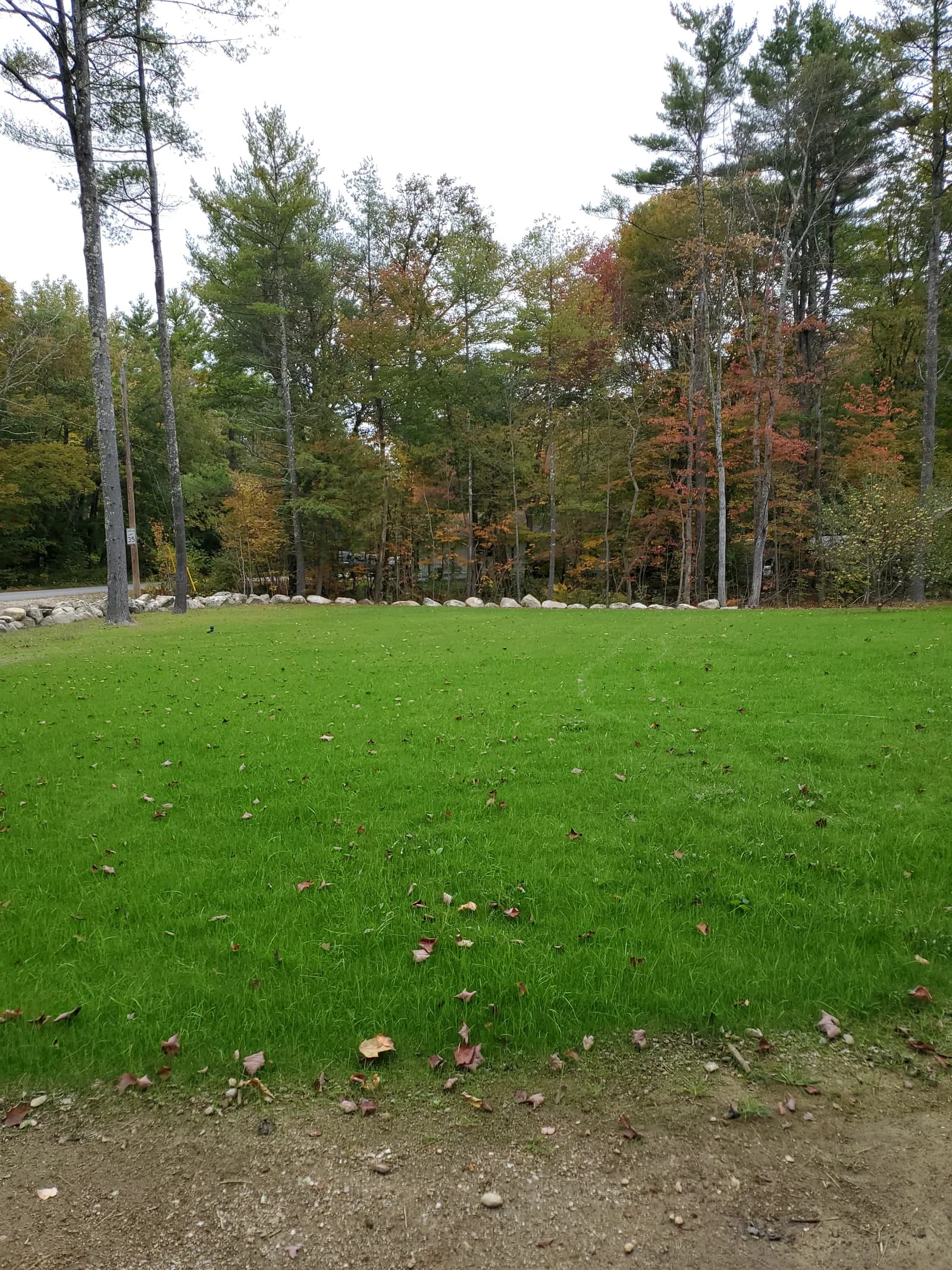 An established hydroseeded lawn edged with fieldstone at the treeline